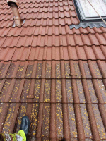 umytie strechy od nanosov